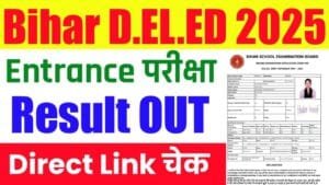 Bihar DElEd Result Download 2025
