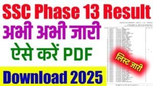 SSC Phase 13 Result 2025