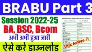 BRABU Part 3 Result 2025