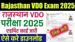 RSMSSB VDO Admit Card 2025